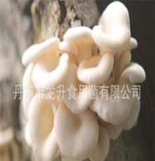 丹东市龙升食用菌有限公司出品龙缘鲜品粉平菇