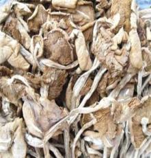 优质食用菌“乙天下”牌散装茶树菇