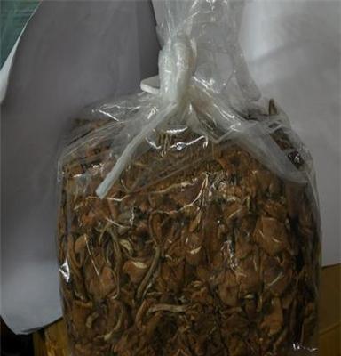 供应茶树菇 菇香浓郁 煮汤 椒盐皆可 汤味鲜甜 福建 江西 茶树菇