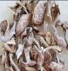 野生食用菌原产地趟子菇 白蘑 灰趟子 优质食用菌趟子菇批发