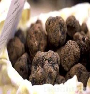 松露 Truffles