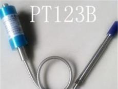 PT123B-25MPa-1/2-20