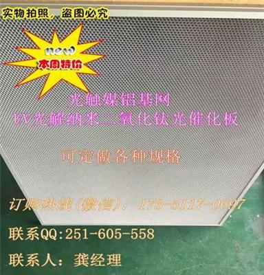 厂家直销 铝蜂窝网光触媒过滤网催化板 除甲醛