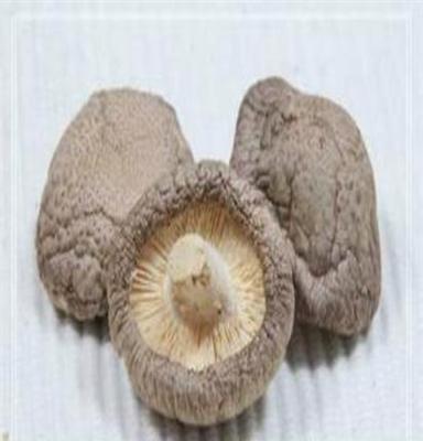 四川特产纯天然绿色环保大山兄弟食用菌香菇