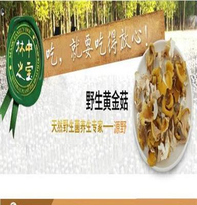 皖太源野 滑子菇干货 滑子蘑 滑菇 珍珠菇 黄金磨食用菌 珍珠菇