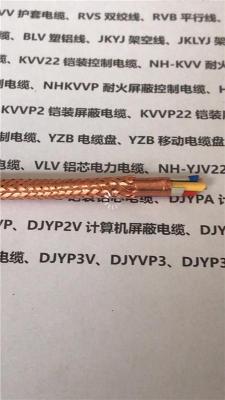 DJYPVP5*2*1.5电缆DJYPVP5*2*1.5计算机电缆