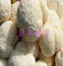 黑龙江海林自产猴头蘑 干猴头菇
