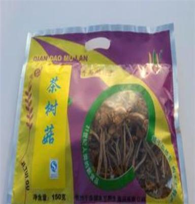 千岛湖木兰茶树菇