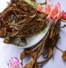 茶樹菇 干貨特級 不開膜 干貨土特產(chǎn) 茶樹菇 干貨 西峽特產(chǎn)500g