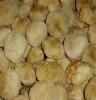 供应吴川市猴头菇 猴头菇批发 野生猴头菇 鲜猴头菇 猴头菇菌