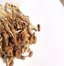广昌茶树菇 山珍干货物 茶薪菇 味纯清香 食用真菌 干货茶树菇
