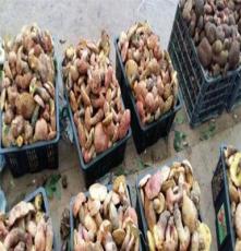安徽野生鸡油菌报价价格 香菇 松茸等一斤也批发