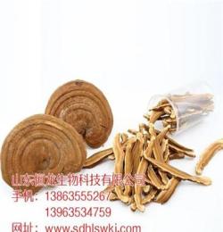广东省深圳市赤灵芝生产基地 正品赤灵芝报价