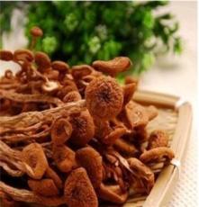 诚惠食品 供应优质椴木香菇 茶树菇