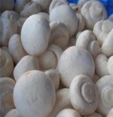 蘑菇-苏州宏鸿农产品一站式食堂配送
