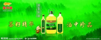 金龙鱼山茶油最新批发价格