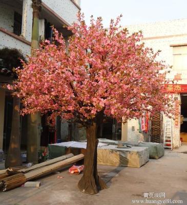 假树出售北京造景树定做出售