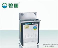 碧丽幼儿园专用饮水机-潍坊市最新供应