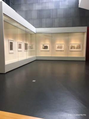 艺术收藏馆展柜定做厂-私人博物馆展柜厂家