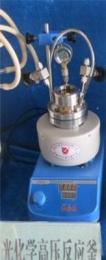微型高压光催化反应釜 实验可视微型高压反应仪 反应釜