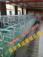 整体复合限位栏厂家供应商沧州养猪设备销售十个猪位的限位栏批发