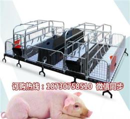 母猪产床一套多少钱猪用分娩栏尺寸养猪设备厂家