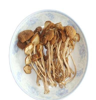 厂家直销茶树菇 野生干茶树菇 安徽特产 食用菌批发
