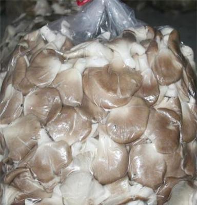 深圳优质高营养秀珍菇鲜菇，恒展农业科技为你服务