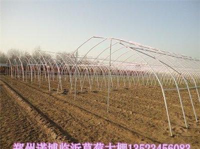 大同温室大棚安装队 许昌蔬菜大棚建设 郑州单体大棚骨架