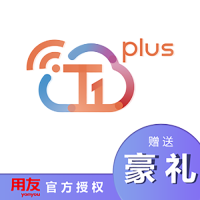 用友T1plus批发零售普及版进销存软件试用版