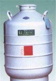 储存运输两用液氮罐YDS-B--新的供应信息