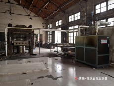 潍坊安丘博联一体式电加热导热油锅炉