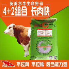 肉牛后期飼料配方800斤牛怎么催肥