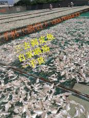广西北海剥皮鱼干大量批发