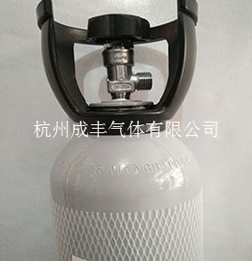 杭州厂家提供标准气矿井用报警器校准4升