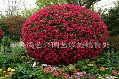 园林景观雕塑厂家花球花柱绿植雕塑造型仿真花球花柱立体花坛造型