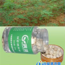 滿澤牌去殼辣木籽天然辣木調(diào)節(jié)免疫降三高改善睡眠便秘解酒除口臭
