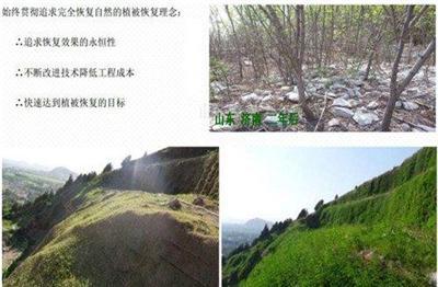 土壤团粒剂 土壤稳定剂 高次团粒 喷播绿化厂家