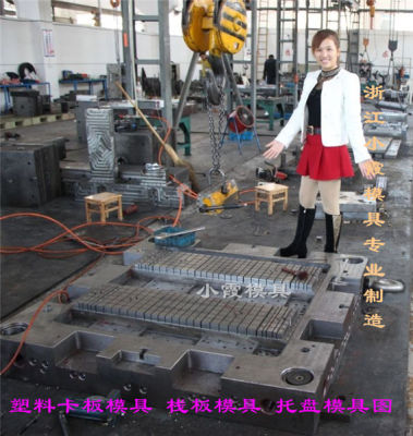 生产塑胶栈板模具实力工厂
