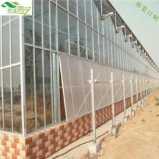 广州芳诚供应玻璃温室大棚建设，供应大棚工程规划、设计、施工及相关设备销售