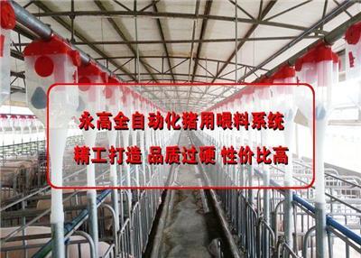 养猪设备肥猪料线-猪场自动化供料系统-工程设计与安装-永高农牧