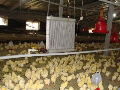养殖设备/鸡舍养殖设备/鸡舍养殖专用设备-德州市最新供应