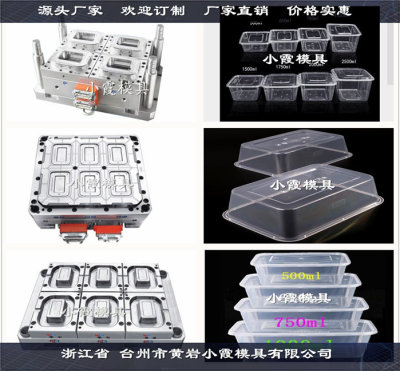 一次性塑料快餐盒模具生产制造