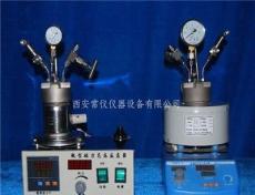 微型磁力高压反应釜 微型高压反应釜 小型高压反应釜