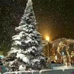 廣州紅慶活動(dòng)雪花機(jī)元旦雪花機(jī)租賃價(jià)格
