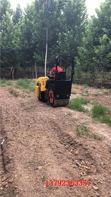 手扶式壓路機(jī)座駕式振動輾小型壓土機(jī)