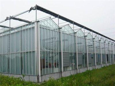 临沂蔬菜温室大棚建造，蔬菜温室大棚造价，泰安新绿温室工程