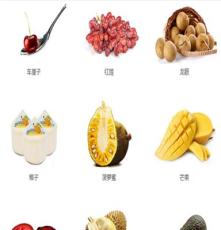 猕猴桃进口商质量可靠 上海嘉果椰青进口商服务更完善