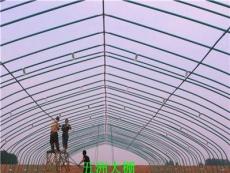 温室大棚建造标准 温室大棚技术 安阳五洲专业生产-安阳市新的供应信息
