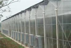蔬菜大棚建造水源条件对植物生长的影响也很大